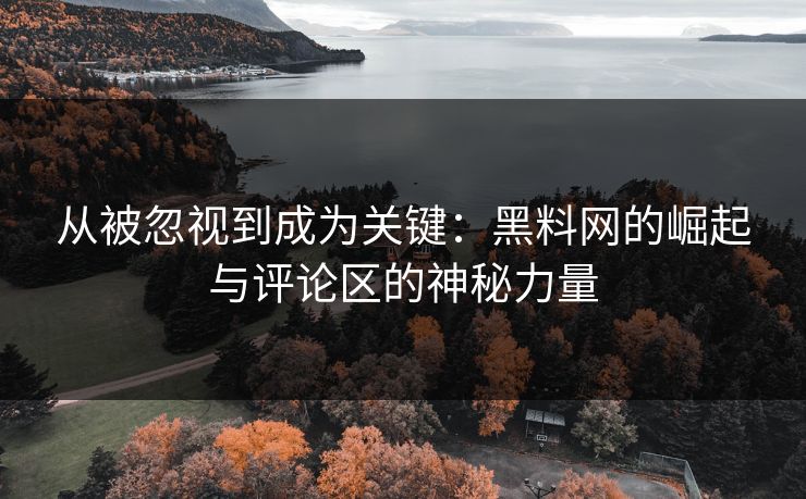 从被忽视到成为关键：黑料网的崛起与评论区的神秘力量