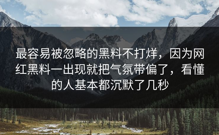 最容易被忽略的黑料不打烊，因为网红黑料一出现就把气氛带偏了，看懂的人基本都沉默了几秒