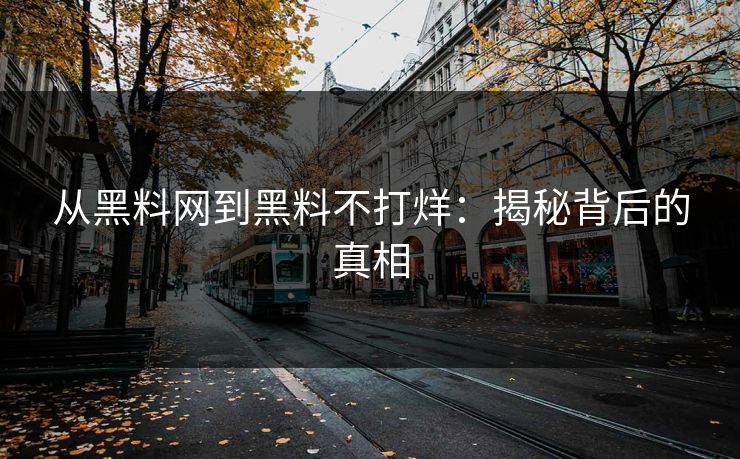 从黑料网到黑料不打烊：揭秘背后的真相