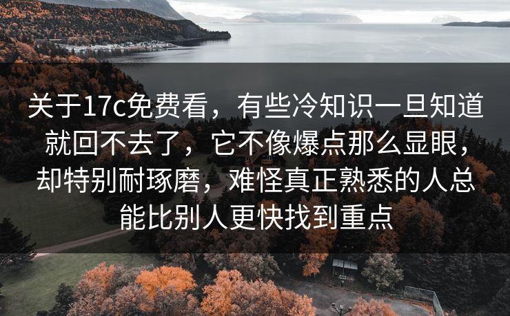 关于17c免费看，有些冷知识一旦知道就回不去了，它不像爆点那么显眼，却特别耐琢磨，难怪真正熟悉的人总能比别人更快找到重点