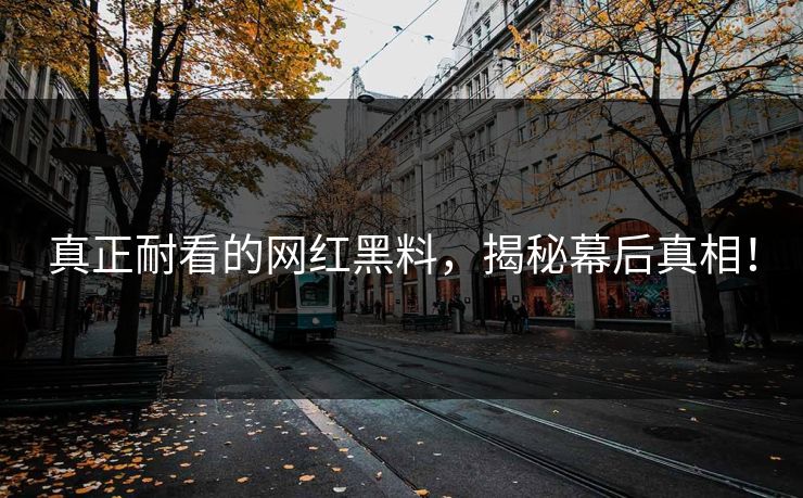 真正耐看的网红黑料，揭秘幕后真相！