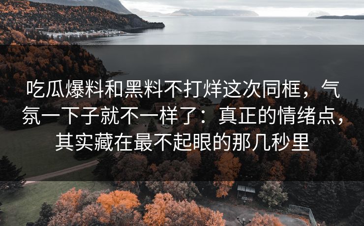 吃瓜爆料和黑料不打烊这次同框，气氛一下子就不一样了：真正的情绪点，其实藏在最不起眼的那几秒里