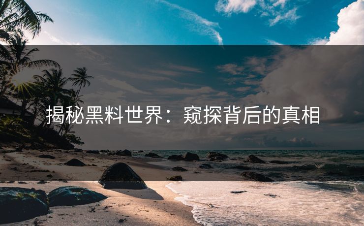 揭秘黑料世界：窥探背后的真相