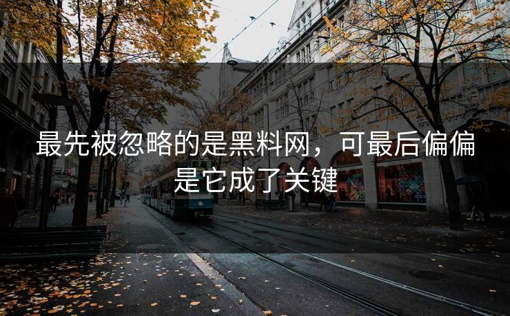 最先被忽略的是黑料网，可最后偏偏是它成了关键