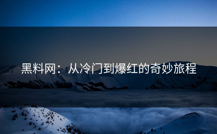黑料网：从冷门到爆红的奇妙旅程